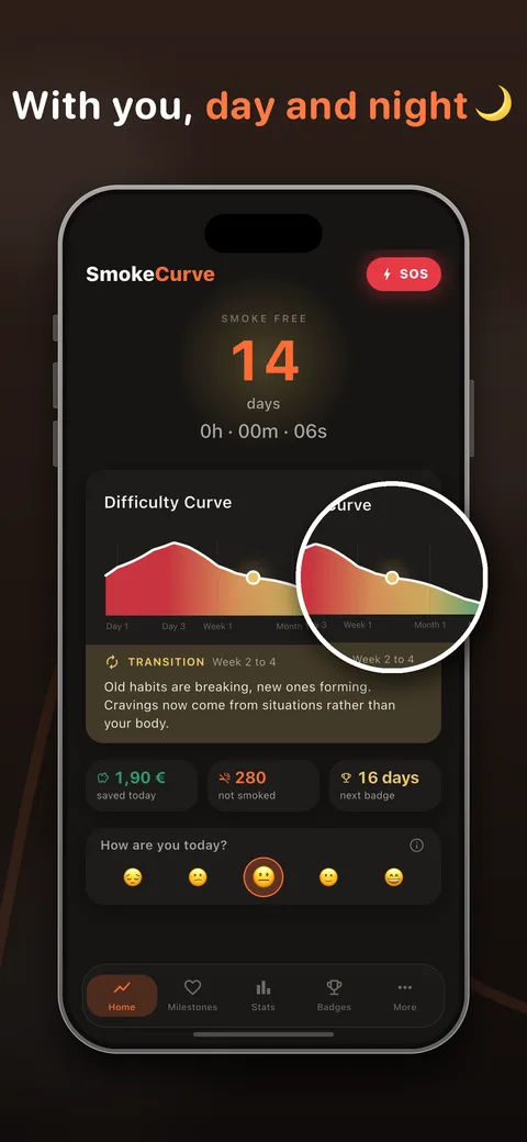 Dark mode of the SmokeCurve app