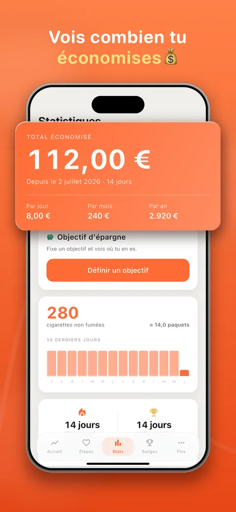 Statistiques : argent économisé, cigarettes non fumées